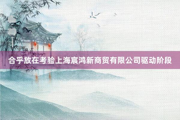 合乎放在考验上海宸鸿新商贸有限公司驱动阶段