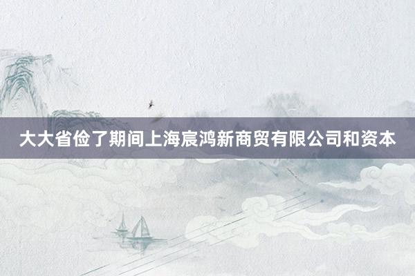 大大省俭了期间上海宸鸿新商贸有限公司和资本